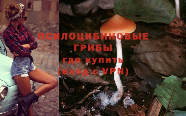 крисы Дмитровск