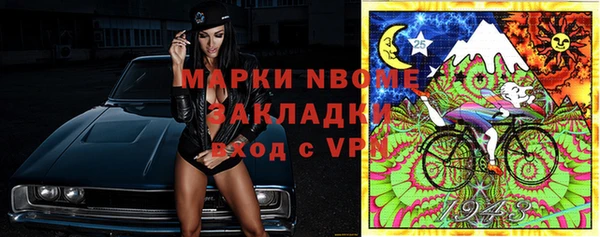 крисы Дмитровск