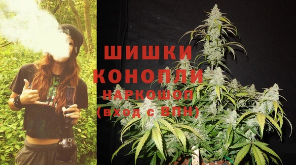 a pvp Дмитриев