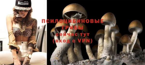 a pvp Дмитриев