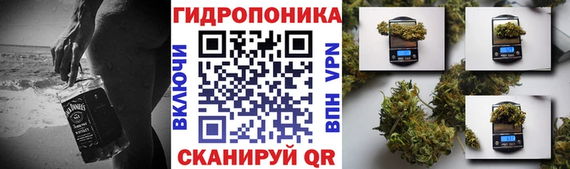 Марихуана Amnesia  купить закладку  Евпатория 